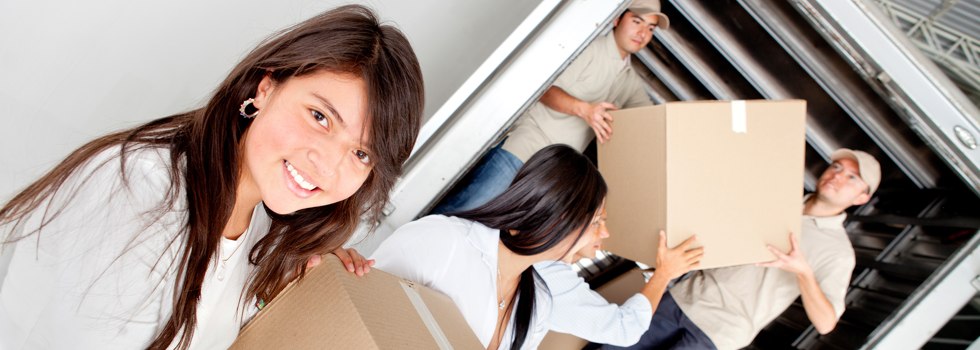Professional Removalists Strelley